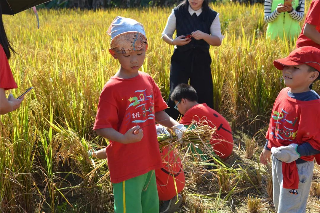 记忆时光机丨石岗小学303班绿色劳动行,快乐在进行