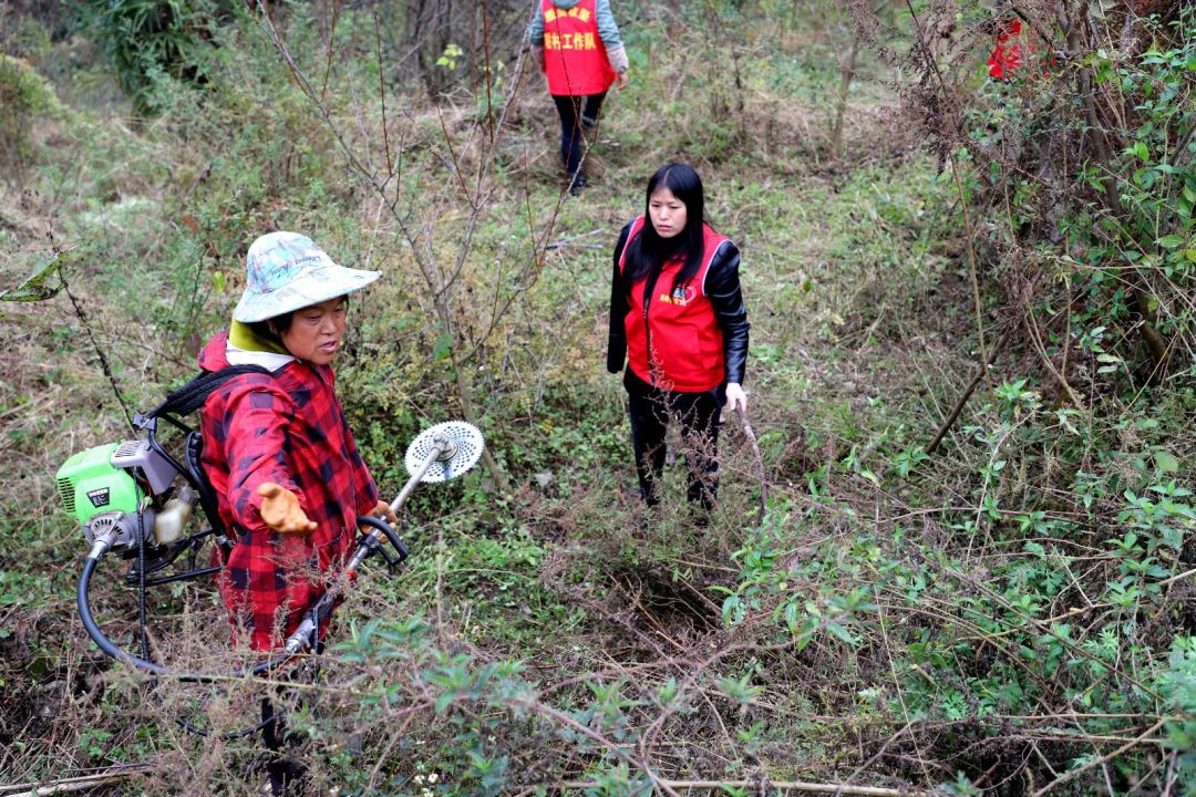 扶贫战场上的独臂"木兰—记全省脱贫攻坚先进个人 张兴燚