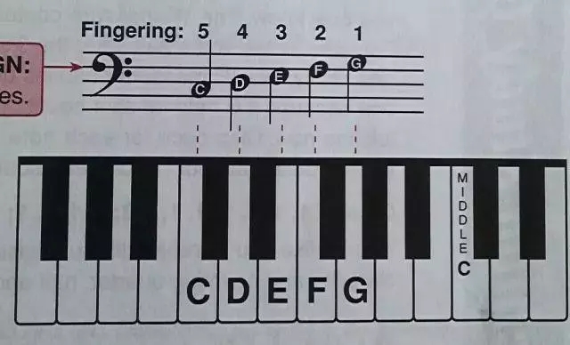 简谱7的音名_简谱唱名和音名对照表(3)