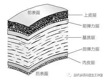 【名医谈】关于『全飞秒』近视激光手术,