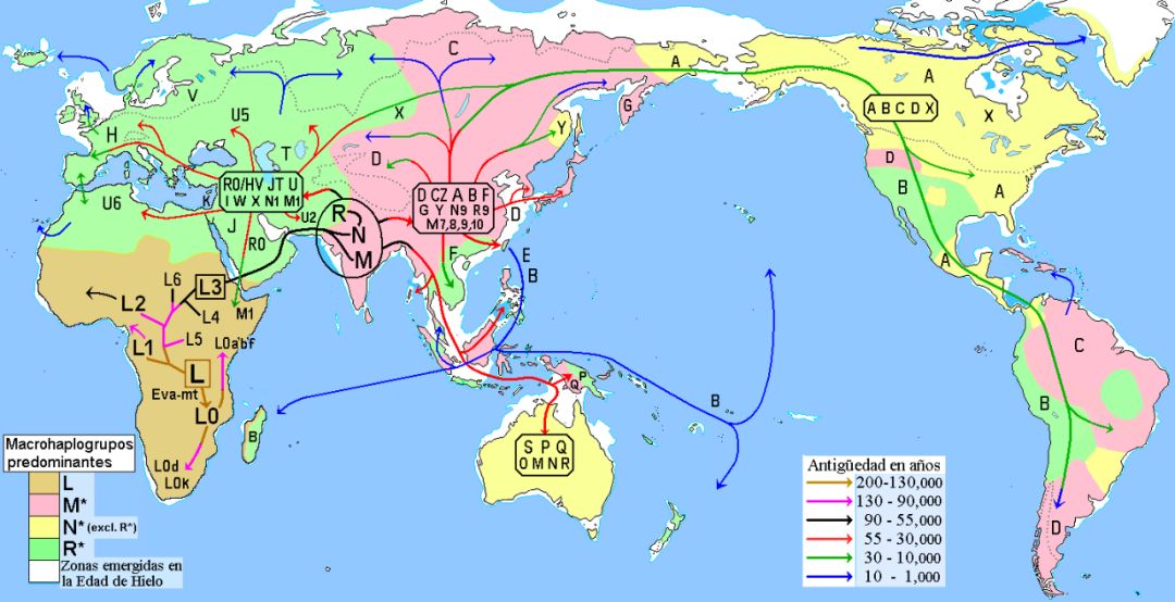 战争因素对人口迁移的_人口迁移因素的卡通图(3)