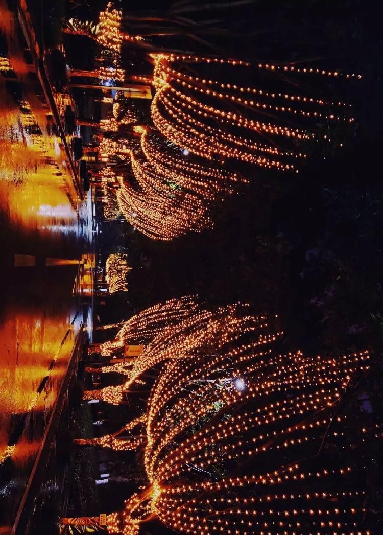 重大是什么色号?前方高能美图来袭!