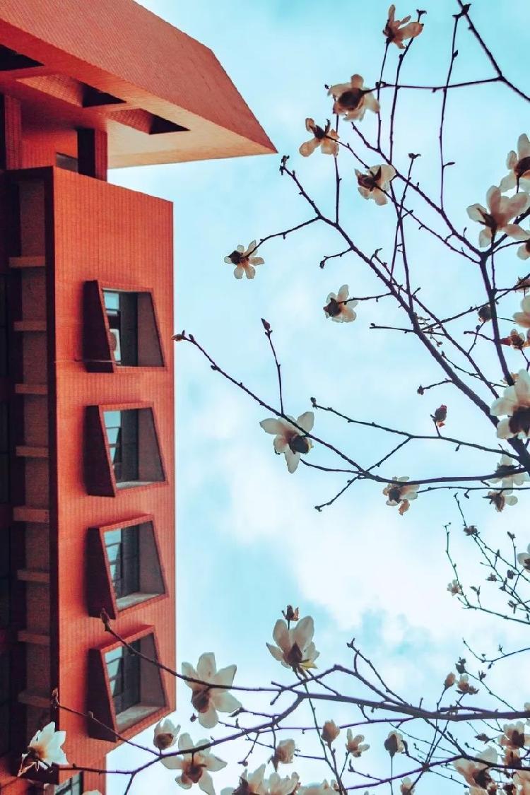 重大是什么色号?前方高能美图来袭!