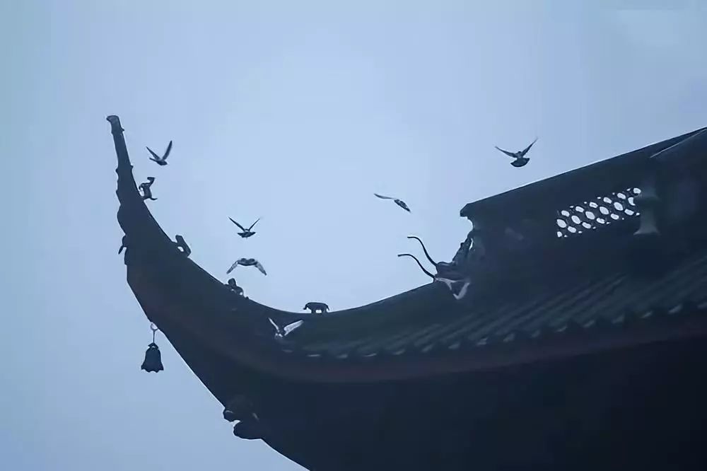 物以类聚,人以群分