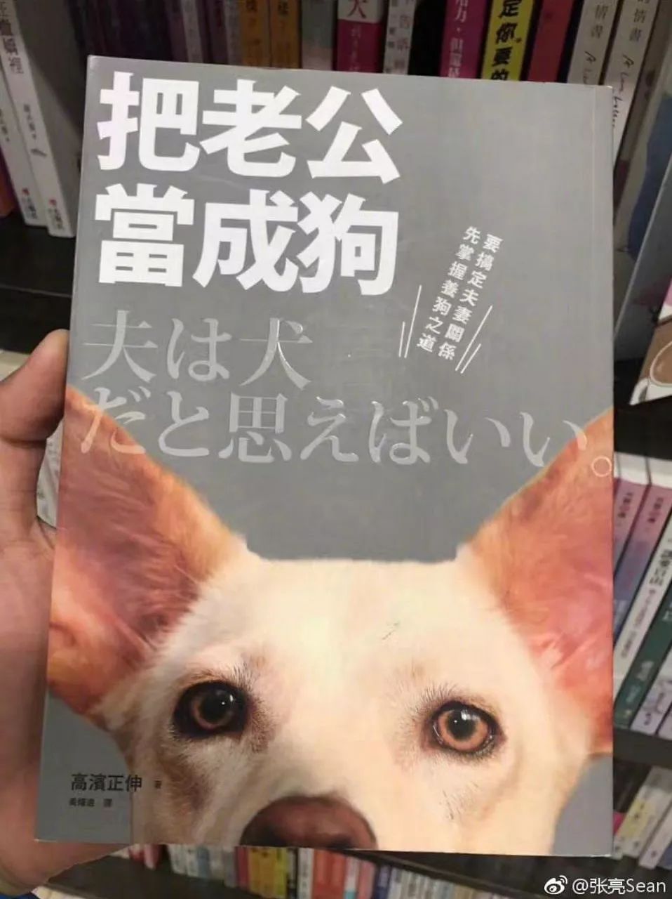 怎么样让自己变得冷漠一点 fc60e61211db41f7b7db9466879bff3e.jpeg