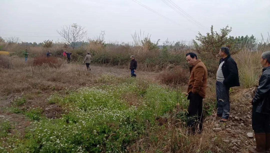 汤畈村人口_遂昌湖山珠村畈图片(2)