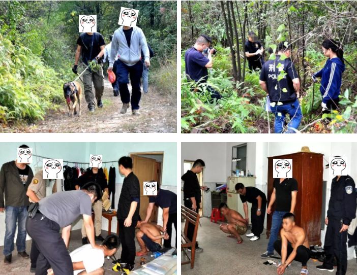 喂猜成一成语_木猜一成语疯狂看图(2)