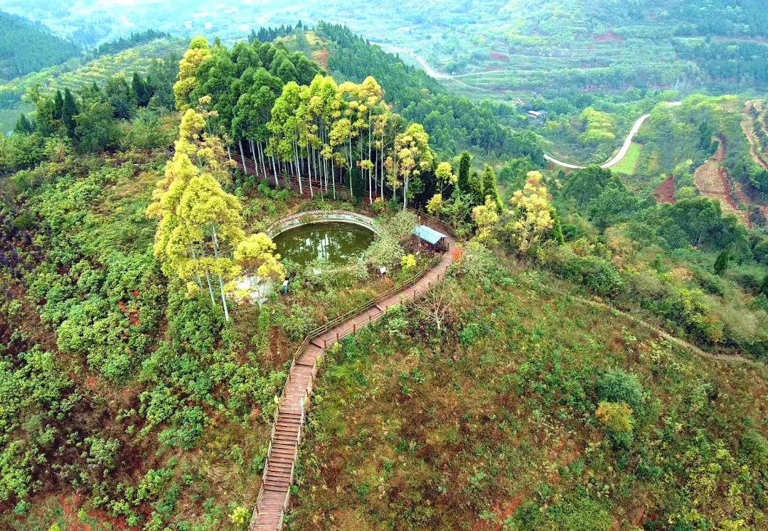 燃成都龙泉山超百公里越野挑战赛今日燃情开跑