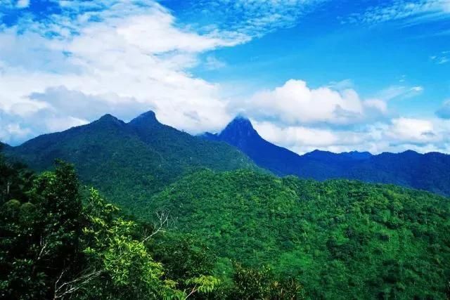 云做窗帘,雾垂青纱.青山含黛迎朝霞——海南尖峰岭