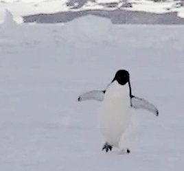 268_249gif 动态图 动图