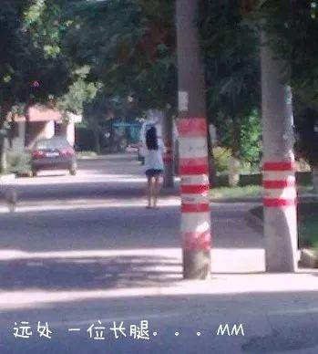 沙雕与福利齐飞:当代抽象恋爱游戏调查