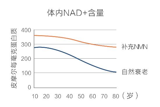 为什么GDP不能直接作为核酸合成原料(3)