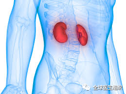 怎么筛查胰腺是否正常 73c63227c20c4599b7f7566fc2487b98.png