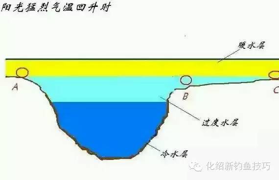 77fdffa64fae49eba3c3de656244f51a.jpeg