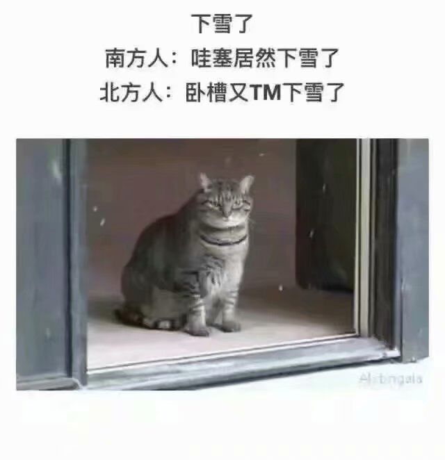 7a9b3ccc09624336aa8f50eebc9bfbef.jpeg