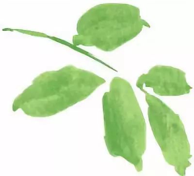 两个凳子猜成语_凳子简笔画