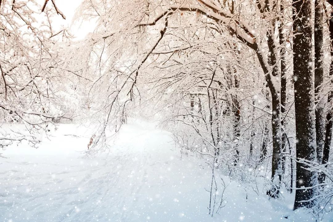 16个成语,带你记住16句关于冬天的古诗