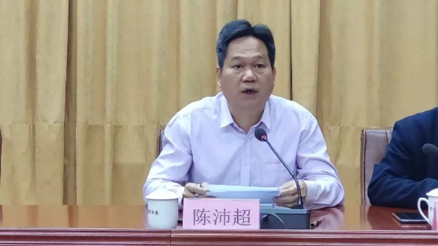 市教育局局长陈沛超作讲话会上,陈沛超同志结合教育