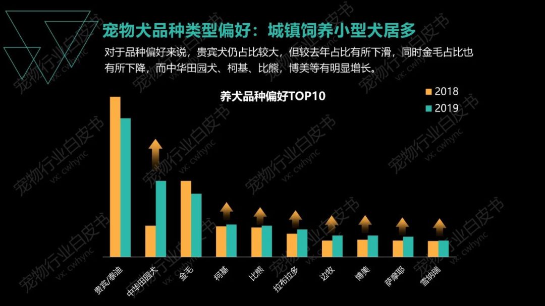 宠物不想养了怎么办