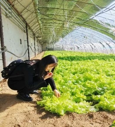 农场系列二:可以直接吃的有机蔬菜石嫣:在外人看来我确实得到了很多的