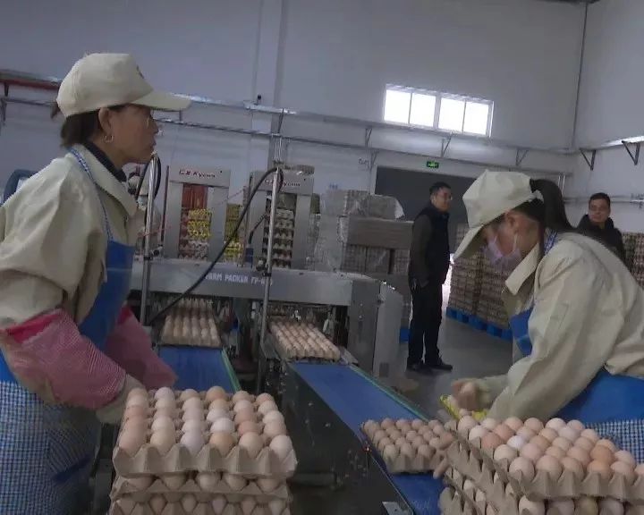 渭源一中2020年高考_绽放战疫青春坚定制度自信渭源县第一中学2020年新