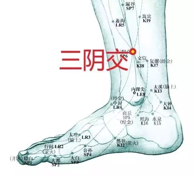 针灸补和泻是什么原理_针灸补泻手法图解