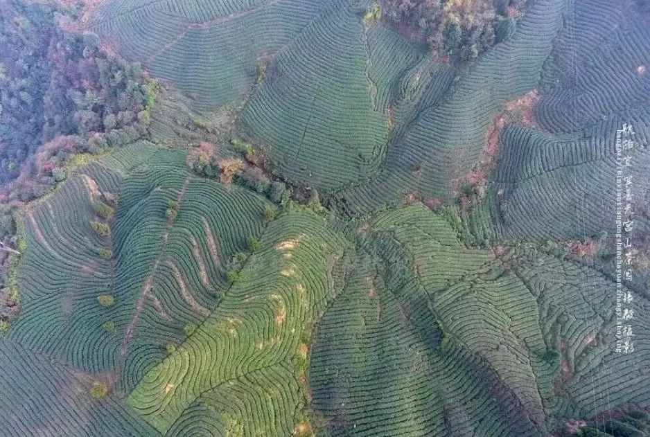 叙州区蕨溪镇gdp_叙州区蕨溪镇(2)