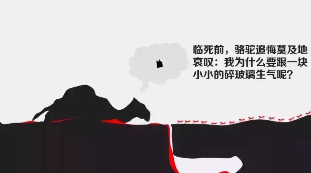 d106614153a448e3b5ec4223256fc0fa.jpeg
