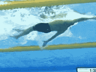 d2ccfd874d76472aa062689542e8c3a0.gif