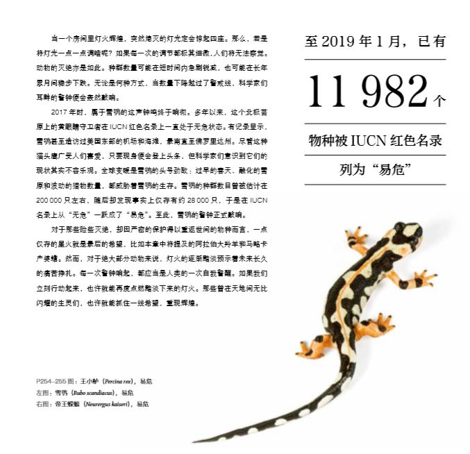 什么极危成语_成语故事简笔画(2)