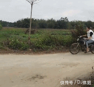 爆笑gif趣图:听说霸王餐挺刺激的,朋友们接下来要怎么