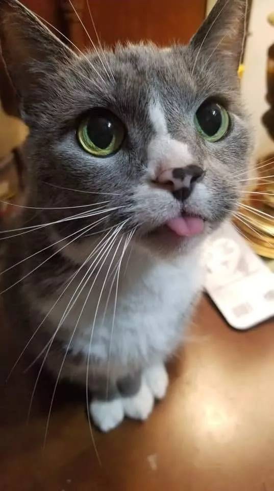 f7b467877e0b44dfa9ac35856d2ea3e8.jpeg