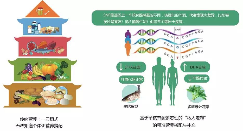 原创精准营养 | 我,需要基因检测来评估营养不良风险吗?