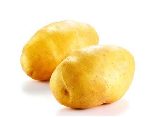 什么土豆要等三年才吃 02ae5ed3c43e41a4958df27bc44082e2.jpeg