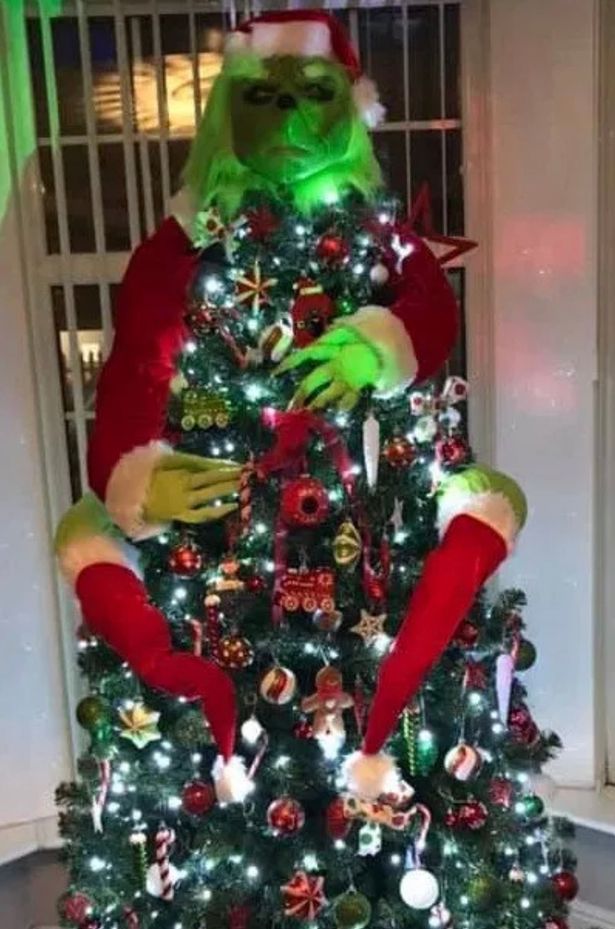 圣诞树比美大赛开启网友被绿毛怪版诡异圣诞树吓坏_装饰