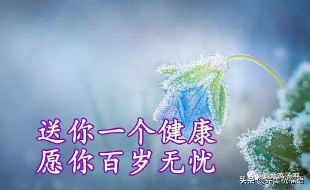 0a3e95151ed54e83813668e38fc3ae81.jpeg