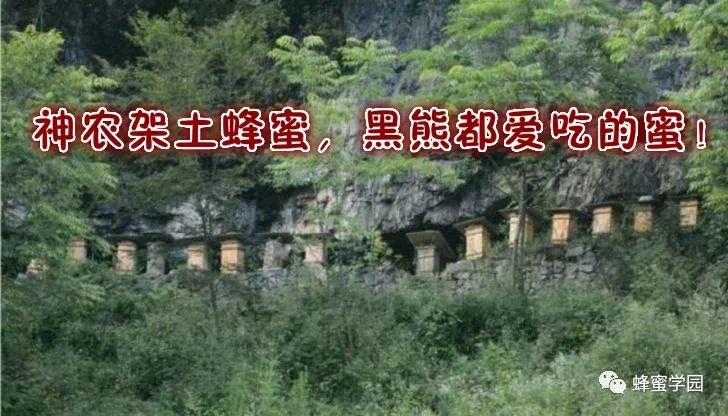 神农架多少人口_神农架野人(3)