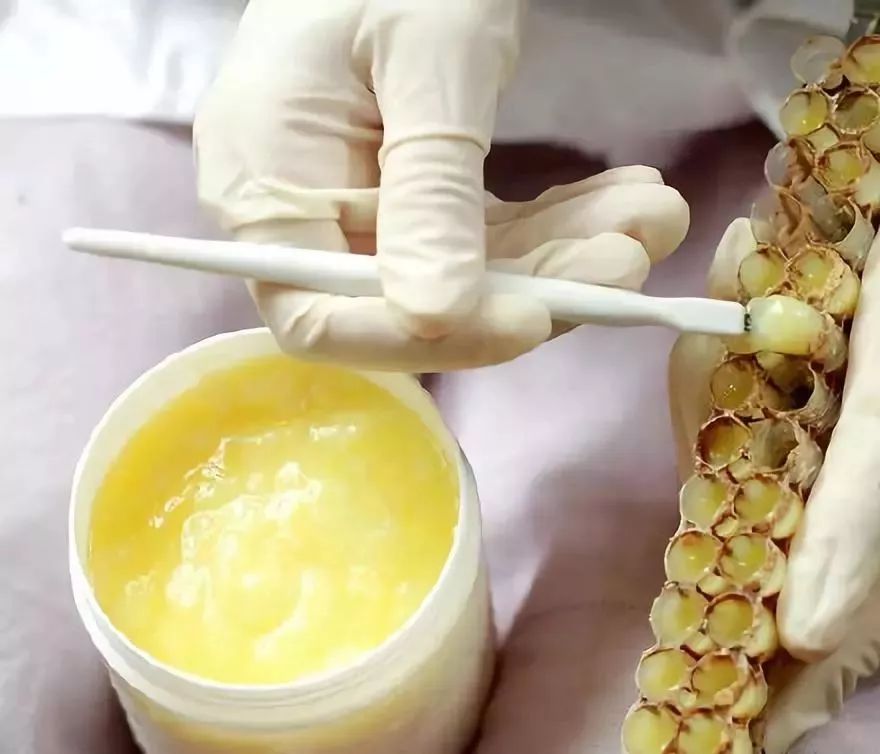 吃什么东西能增强免疫力身体好 3a5a79b7f87f46da95e84146e0e359be.jpeg