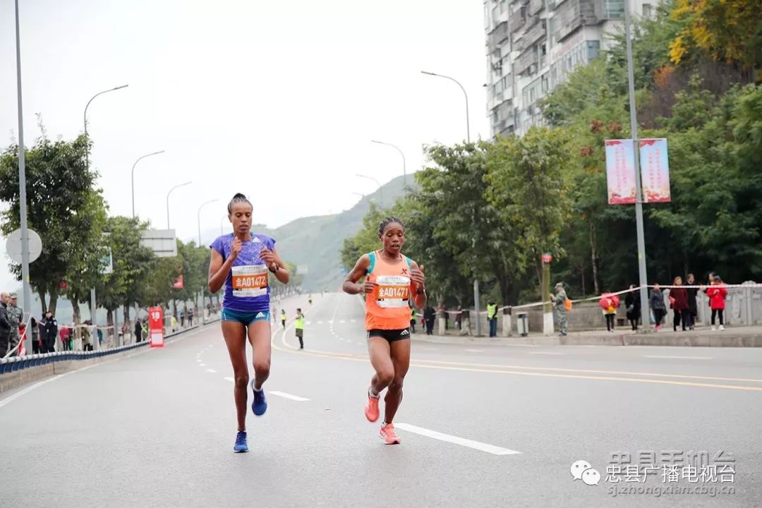 忠县人口2019_2019重庆忠县花仙子