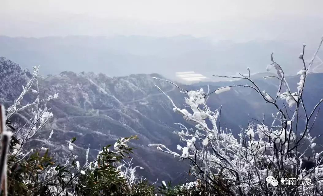 图注为:2019年11月28日都匀螺丝壳消息下配有一张树枝,山体结冰的图片