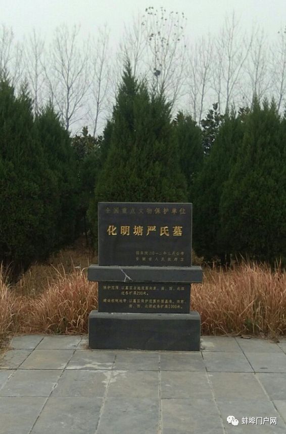 五河县"化明塘严氏墓"
