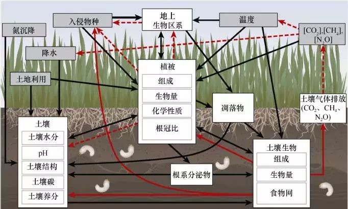 全球变化不仅影响地上生态系统的结构和功能,还直接或间接地影响土壤