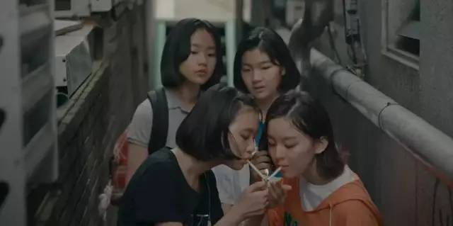 这部挑战「禁忌」的片，竟拿下年度最佳…