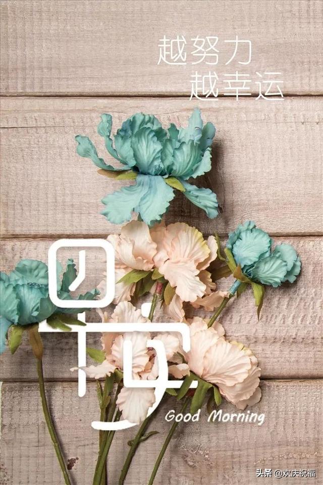 文章配图-8
