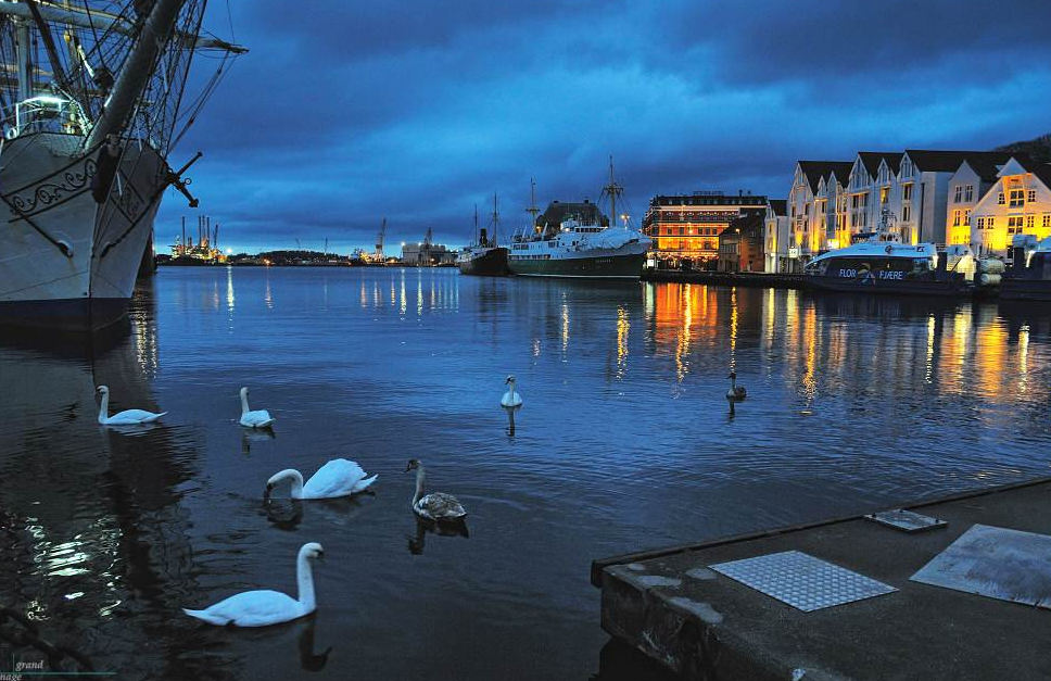 挪威是一个怎样的国家 57c18818e1e646eaada186e17654dc49.png