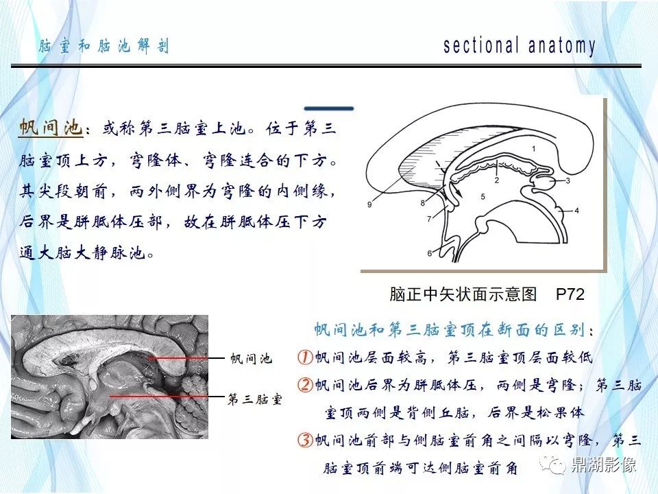 必点收藏脑池和脑室断层解剖超全详解