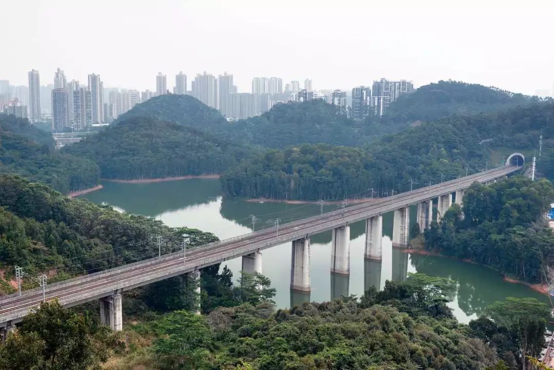 被催更!羊台山绿道路线图请收好