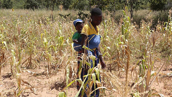 津巴布韦陷入“人造饥荒”，高通胀正在让60%人口吃不上饭 