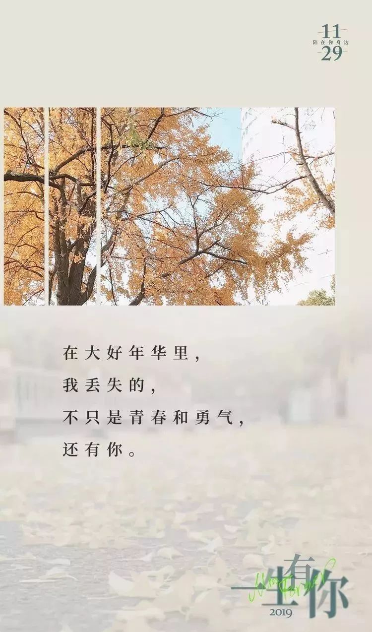 967419e6d1cf4db9ad560efe8ff3808a.jpeg