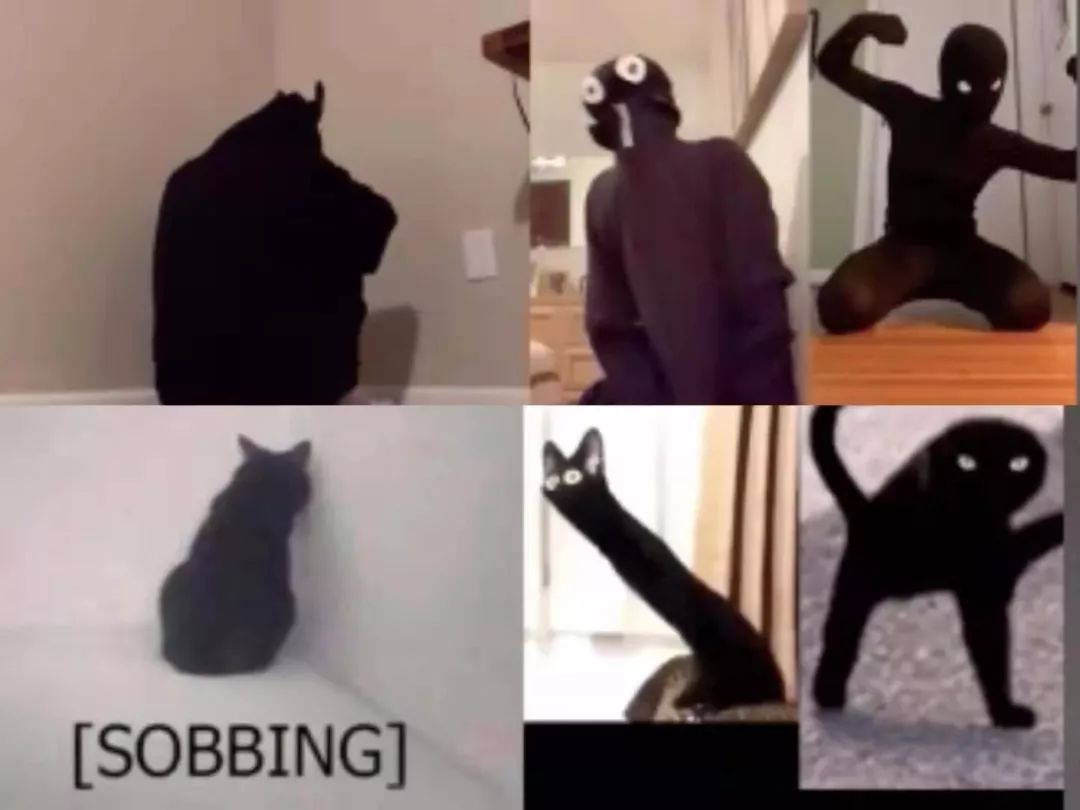 a48d08b63cf644b48b51311e3354066c.jpeg